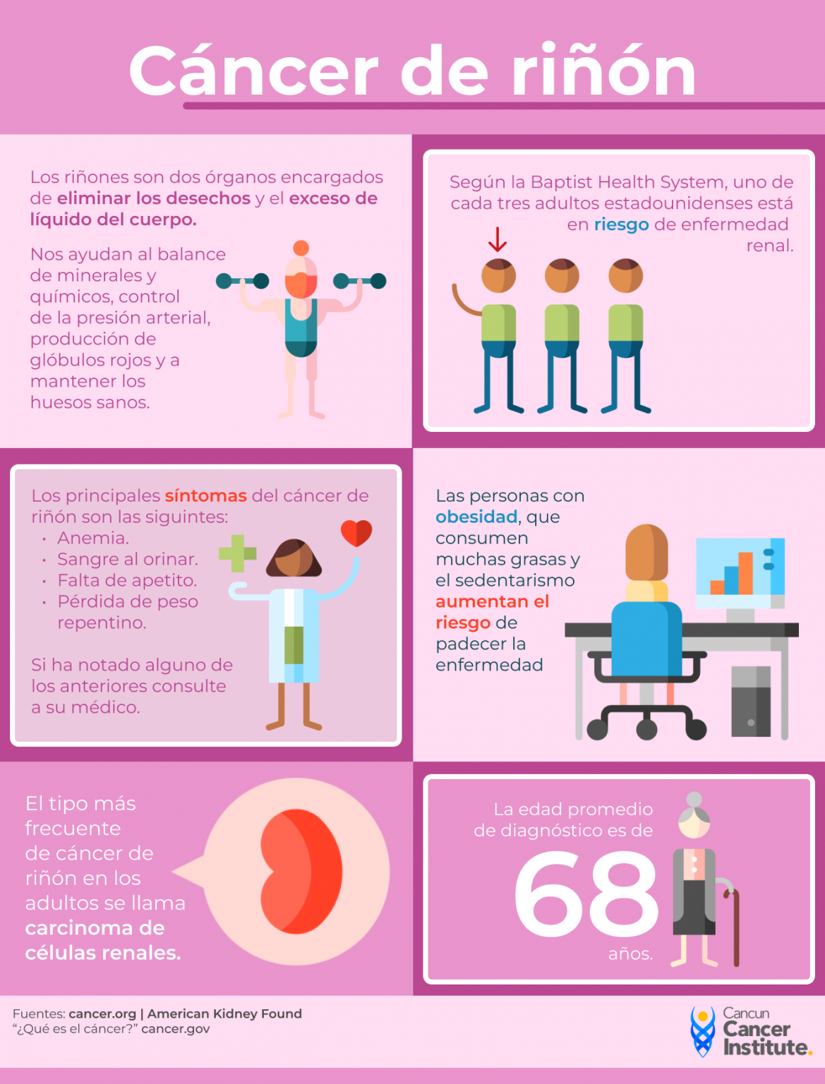 Datos sobre el cáncer de riñón - Cancun Cancer Institute