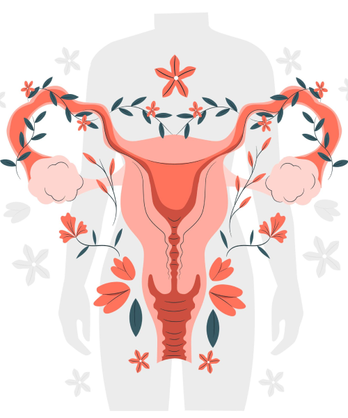 Portada. Infografía cáncer de cuello uterino.