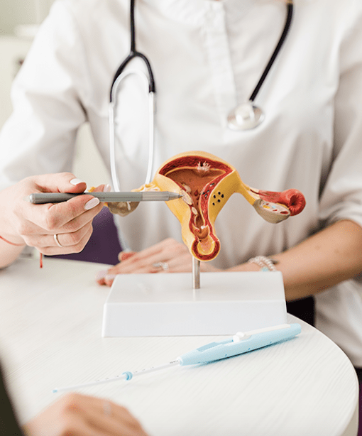 Como prevenir el cáncer cervicouterino