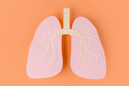 Portada infografía cáncer de pulmón